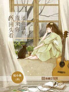 《赵云传云汉腾龙》bug说明